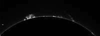 Solar Prominence - 23/04/15  UT.14.06
