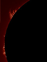 Prominences - 14th. May 2015 UT.13.59