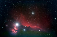 Horse-head and Flame Nebulae region