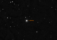 Wide-field image of SN 2014cy